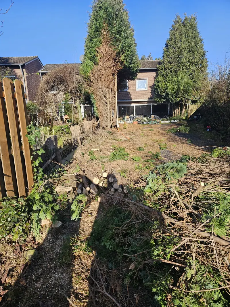 Garten mit gefaelltem Baumstamm und Asthaufen vor Haus, sonnig