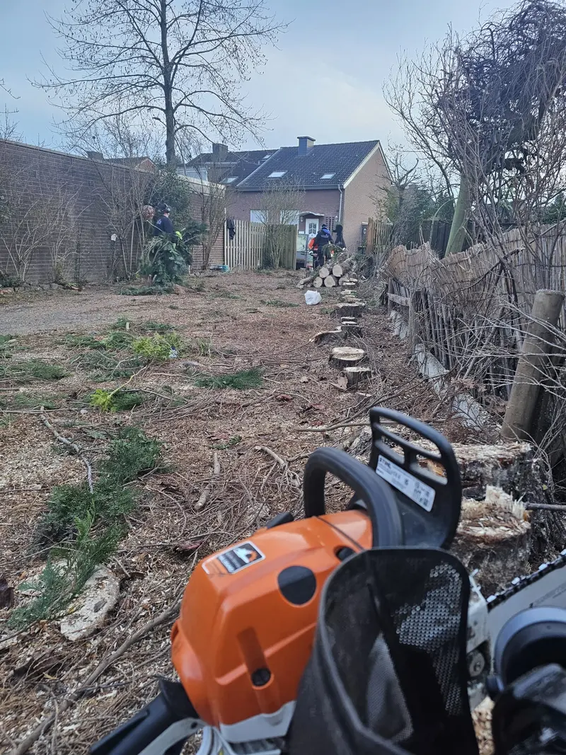 Personen mit neutralem Blick im Garten, orange Motorsaege und Baumstuecke
